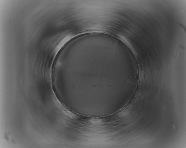 X0000101671291200807241432