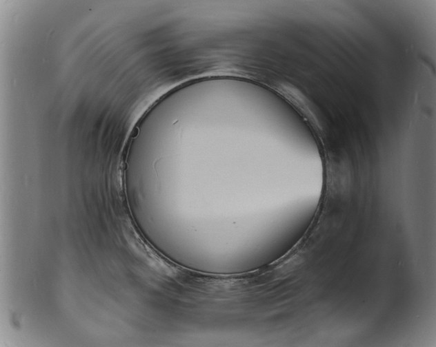 X0000101671292200807241432