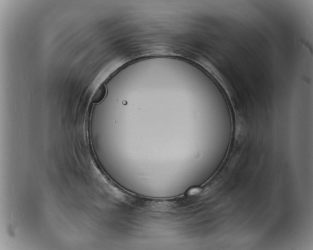 X0000101671293200807241432