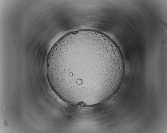 X0000101671294200807241432