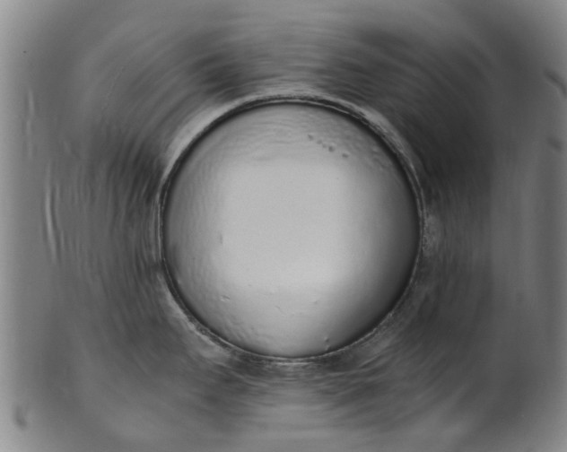 X0000101671295200807241432