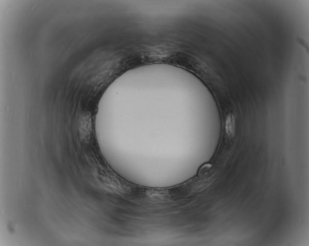 X0000101671299200807241431