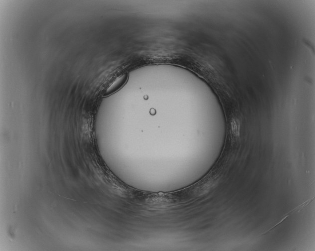 X0000101671300200807241431