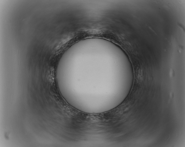 X0000101671301200807241431