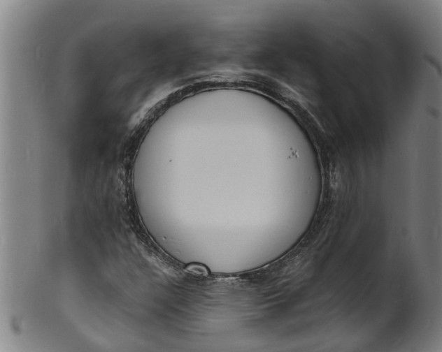 X0000101671304200807241431