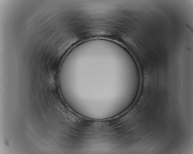 X0000101671305200807241431