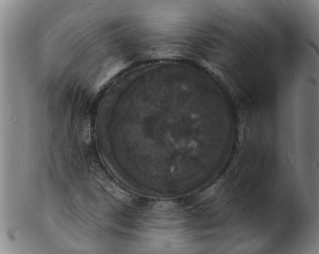 X0000101671306200807241431