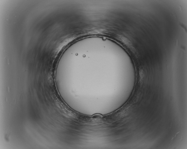 X0000101671308200807241431