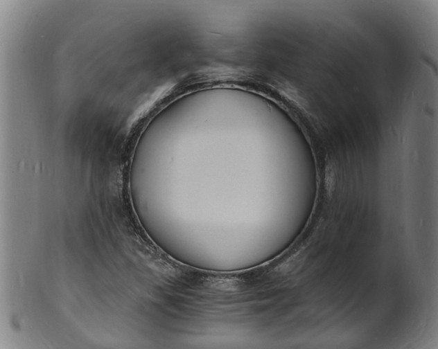X0000101671309200807241431