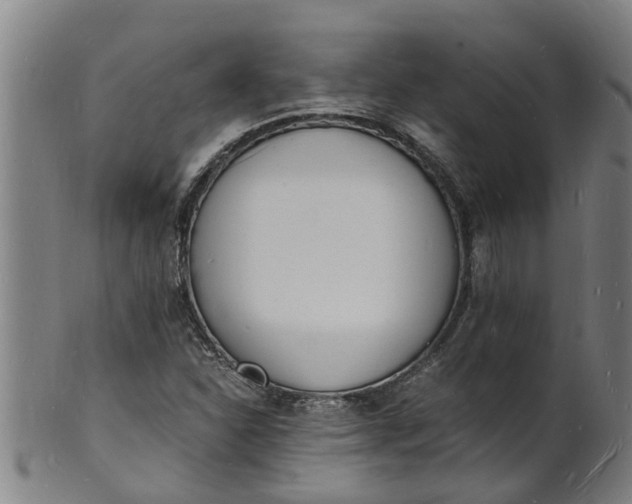 X0000101671310200807241431