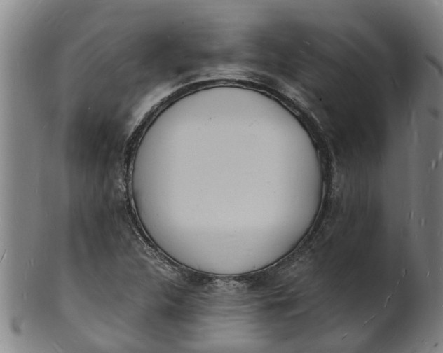 X0000101671312200807241431