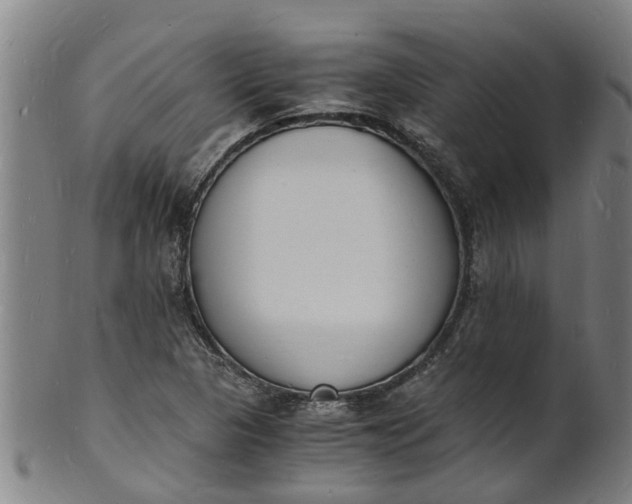 X0000101671313200807241431