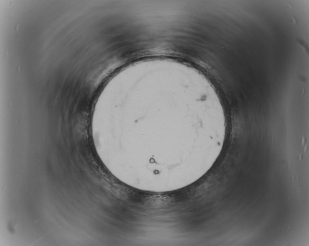X0000101671314200807241431