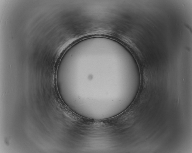 X0000101671316200807241431