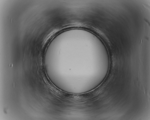 X0000101671318200807241431