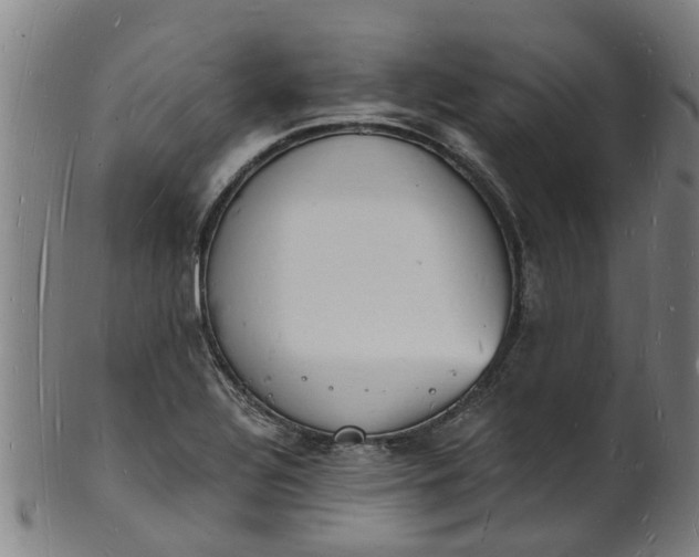 X0000101671320200807241431