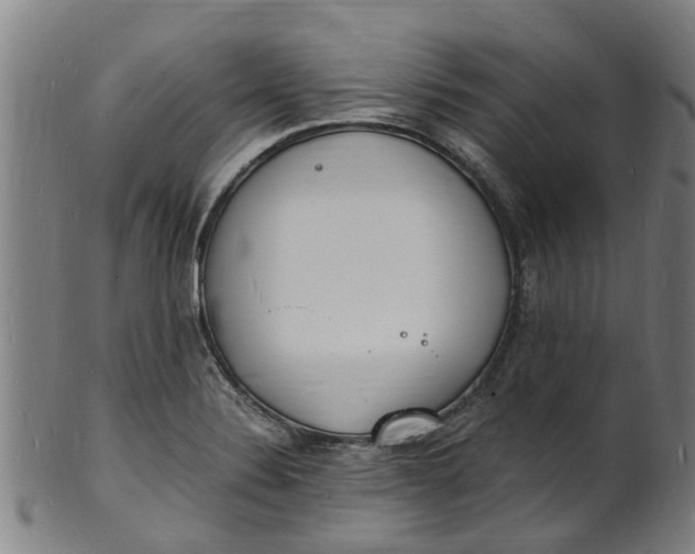 X0000101671324200807241431