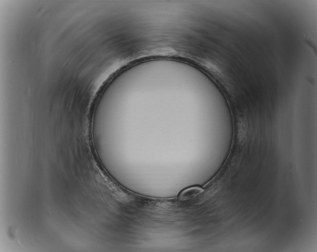 X0000101671326200807241431