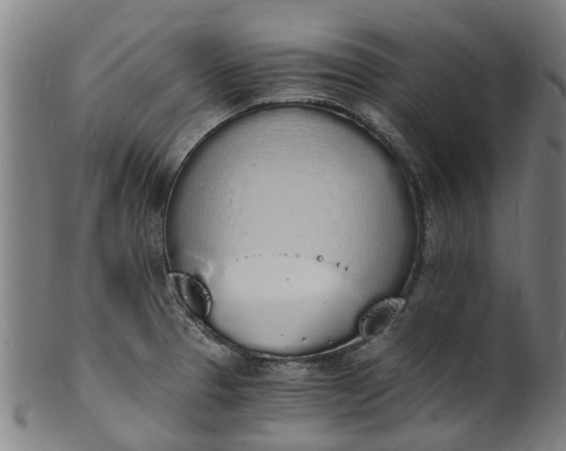 X0000101671329200807241431