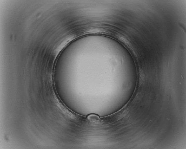 X0000101671330200807241431