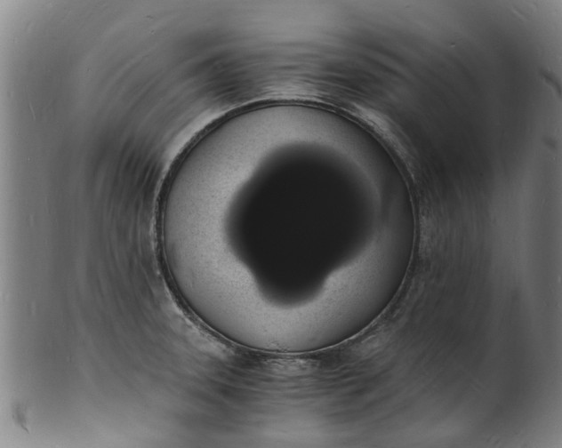 X0000101671331200807241431