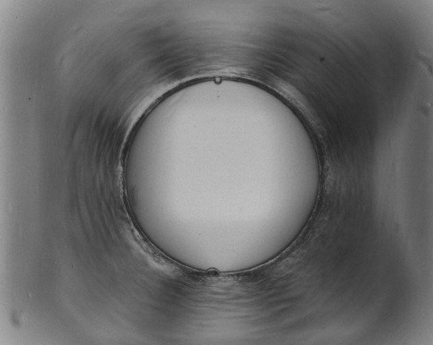 X0000101671332200807241431
