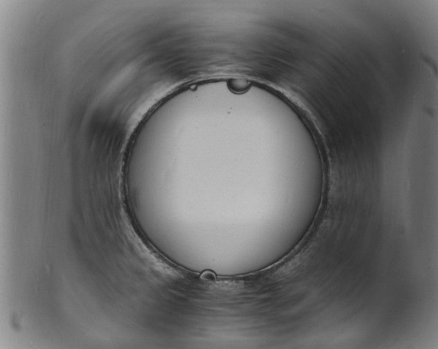 X0000101671333200807241431