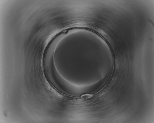 X0000101671334200807241431