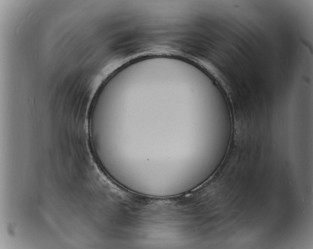 X0000101671335200807241431