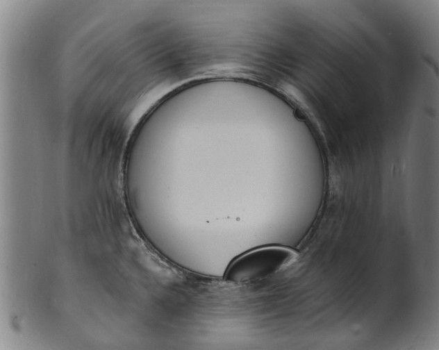 X0000101671336200807241431