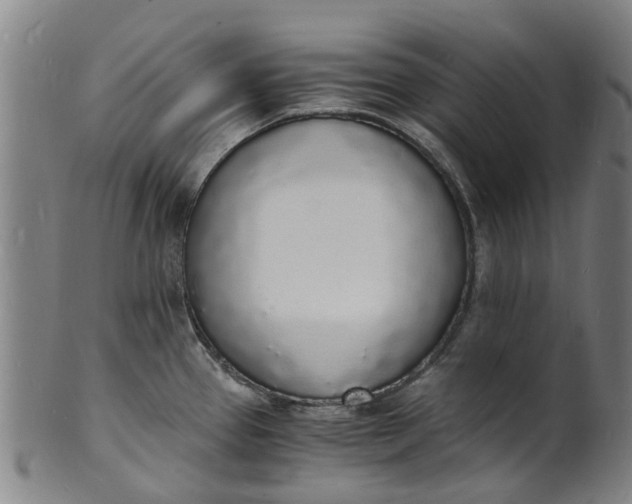 X0000101671337200807241431