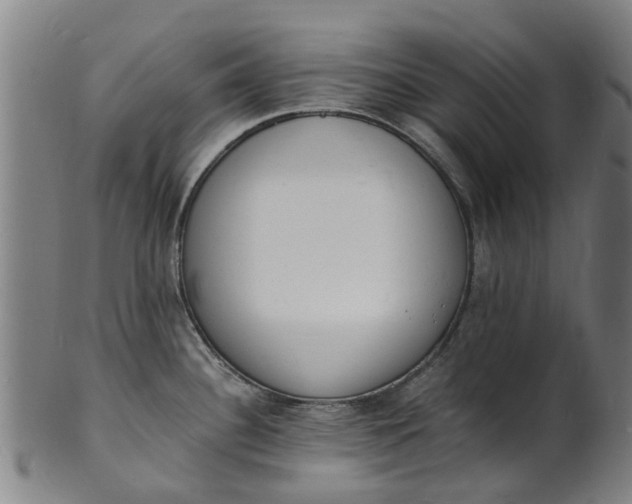 X0000101671340200807241432