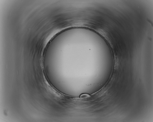 X0000101671342200807241432