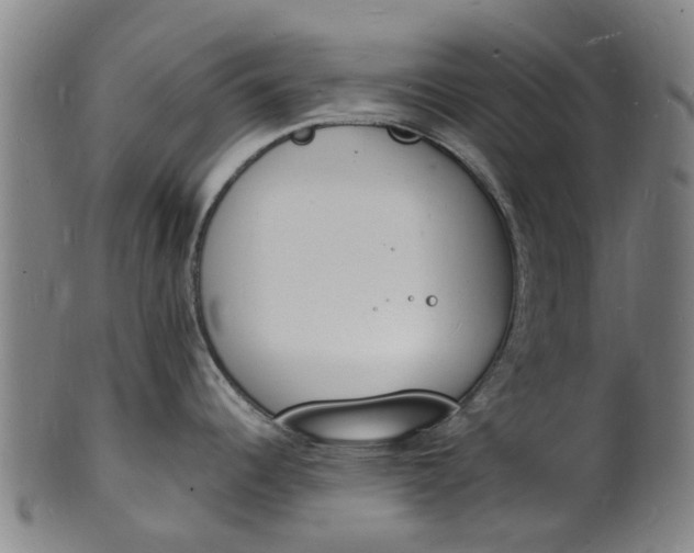 X0000101671344200807241432
