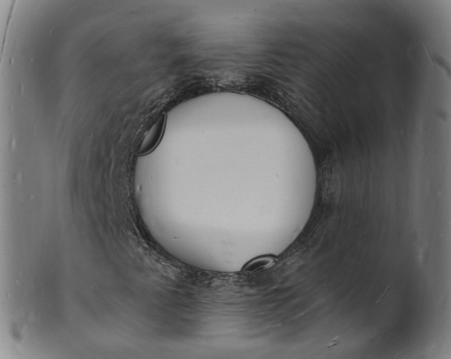 X0000101671345200807241431