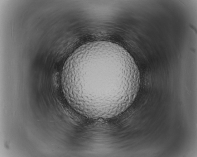 X0000101671346200807241431