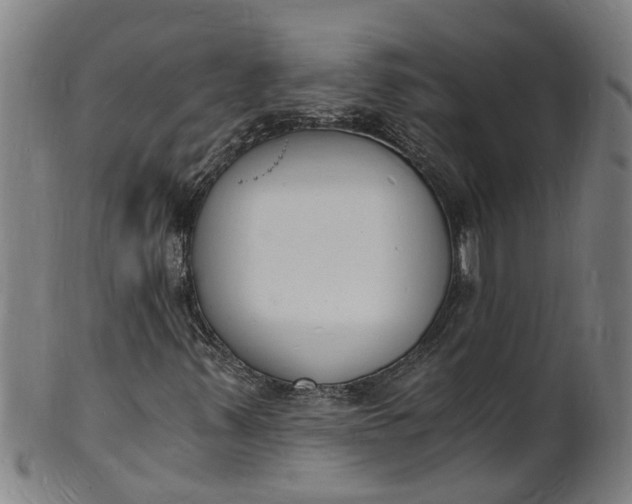 X0000101671347200807241431