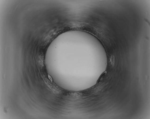X0000101671348200807241431