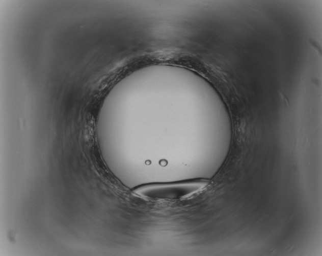X0000101671349200807241431
