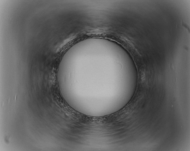 X0000101671350200807241431