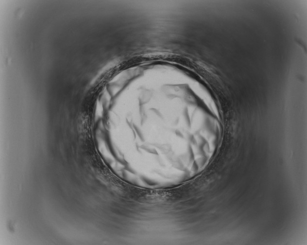X0000101671351200807241431