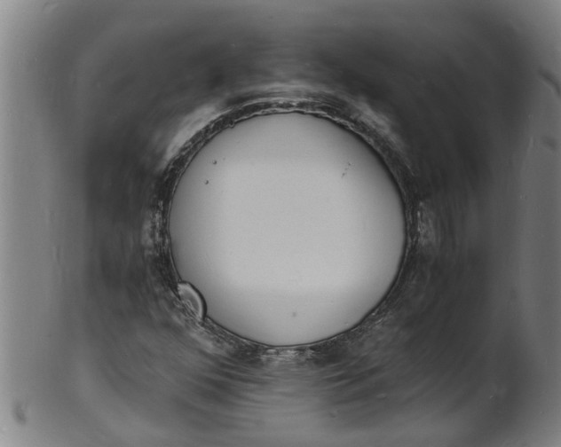 X0000101671352200807241431