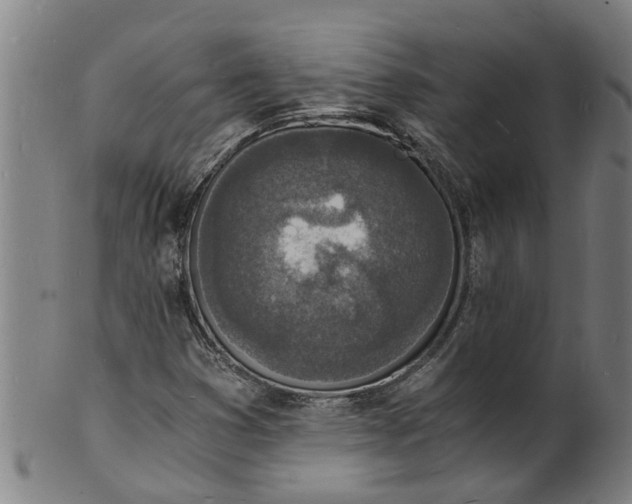 X0000101671353200807241431