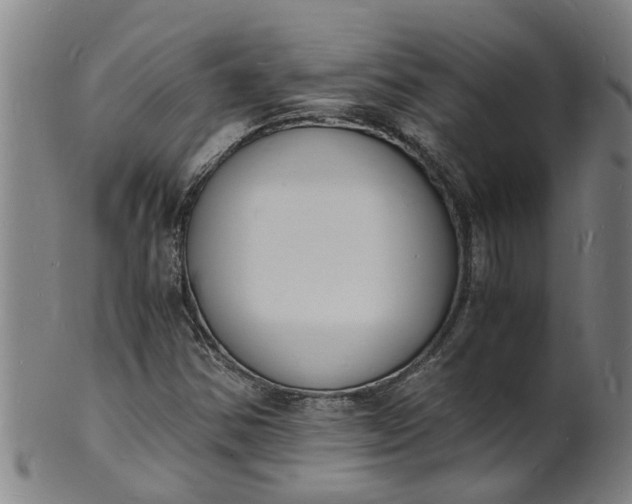 X0000101671354200807241431