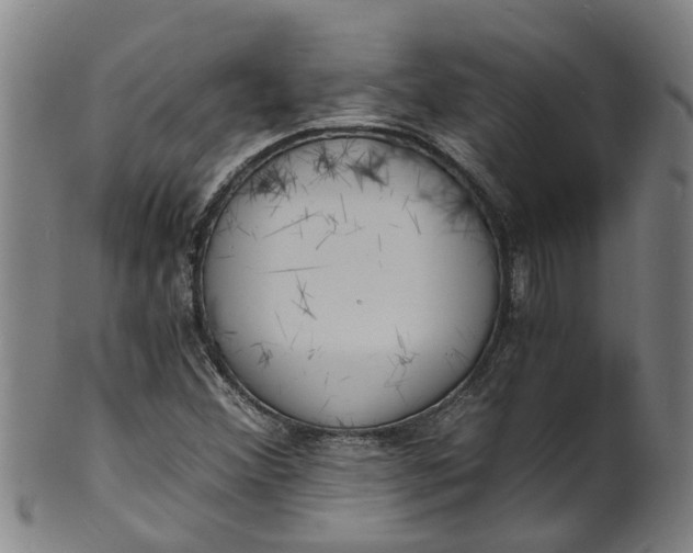 X0000101671356200807241431