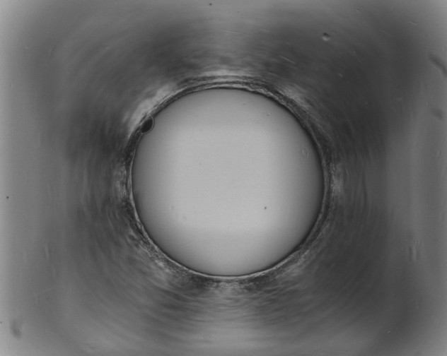 X0000101671357200807241431