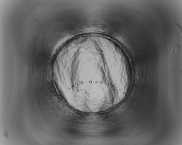 X0000101671358200807241431