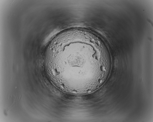 X0000101671359200807241431
