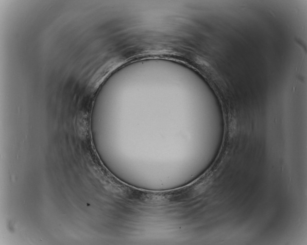 X0000101671361200807241430