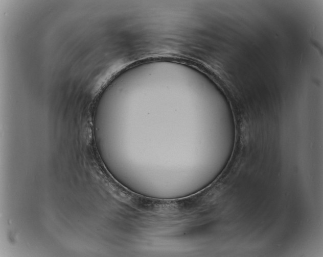 X0000101671363200807241430